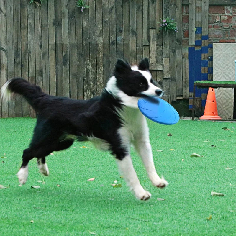 Dog Toy Frisbee – Durable Throwing Disc for Active Play