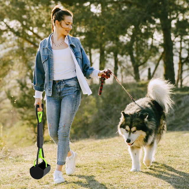Dog Poop Scoop