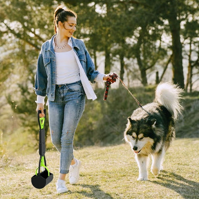 Dog Poop Scoop