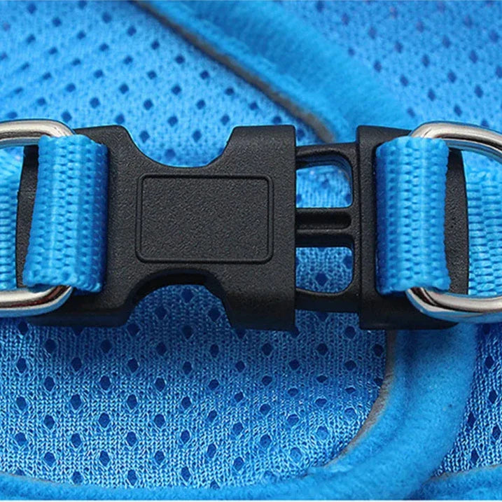 Reflective Cat Harness and Leash Set