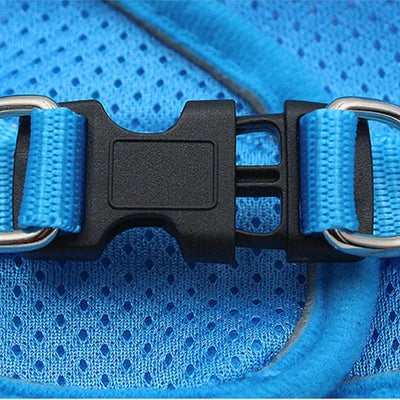 Reflective Cat Harness and Leash Set
