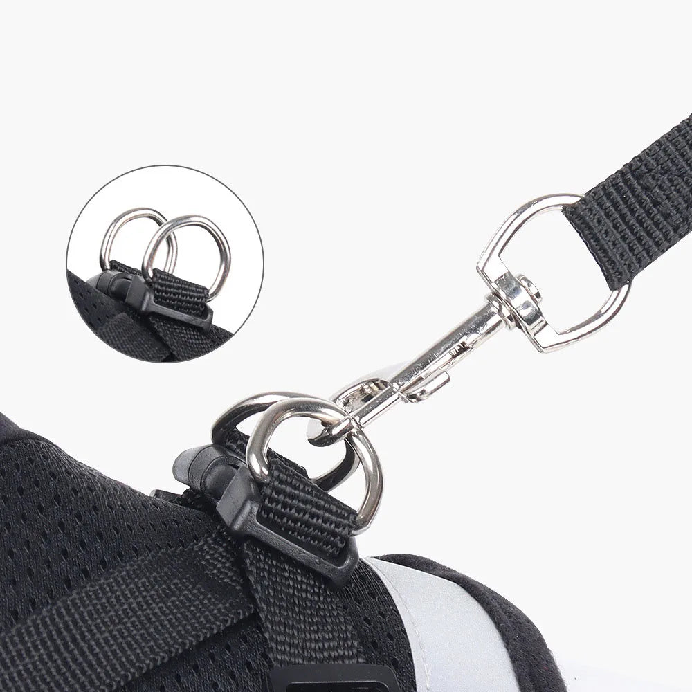 Reflective Cat Harness and Leash Set