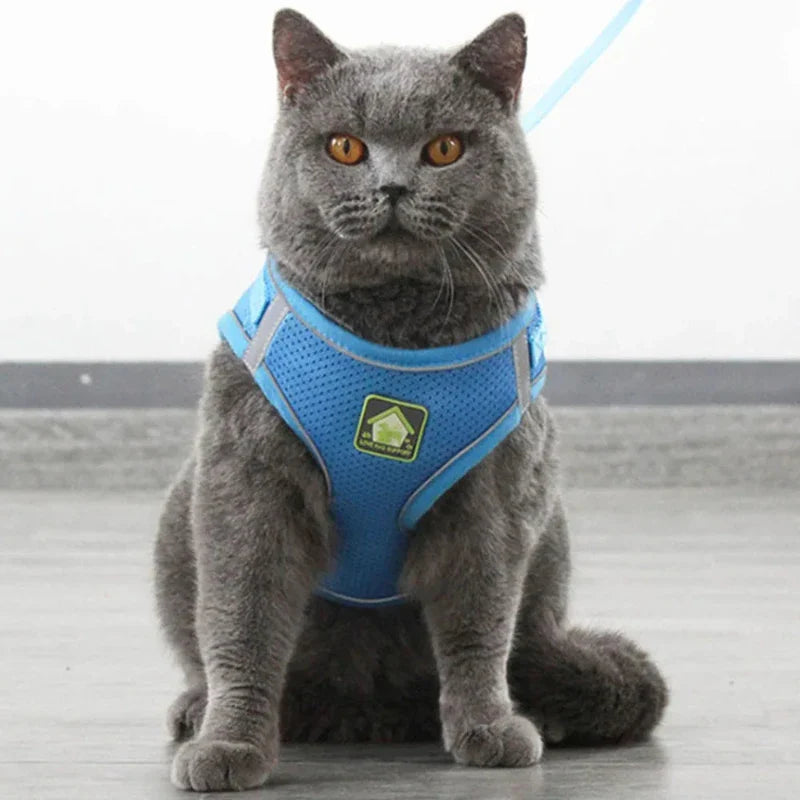 Reflective Cat Harness and Leash Set