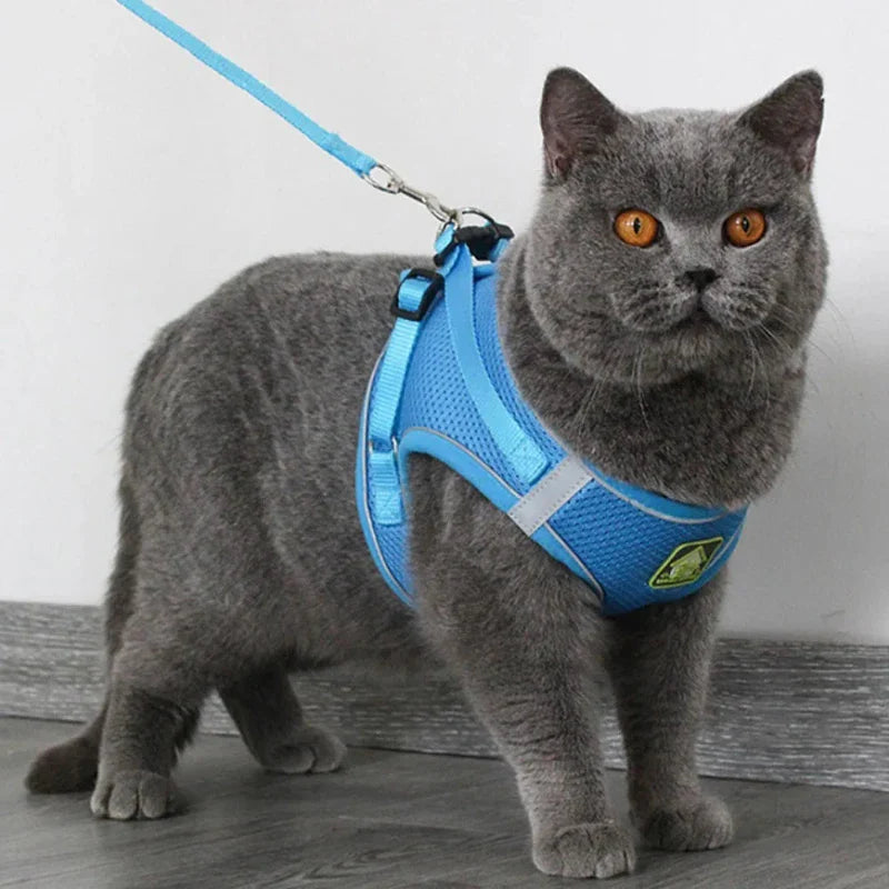 Reflective Cat Harness and Leash Set
