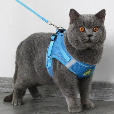 Reflective Cat Harness and Leash Set