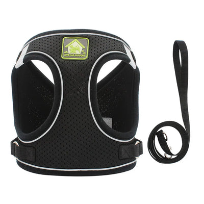 Reflective Cat Harness and Leash Set