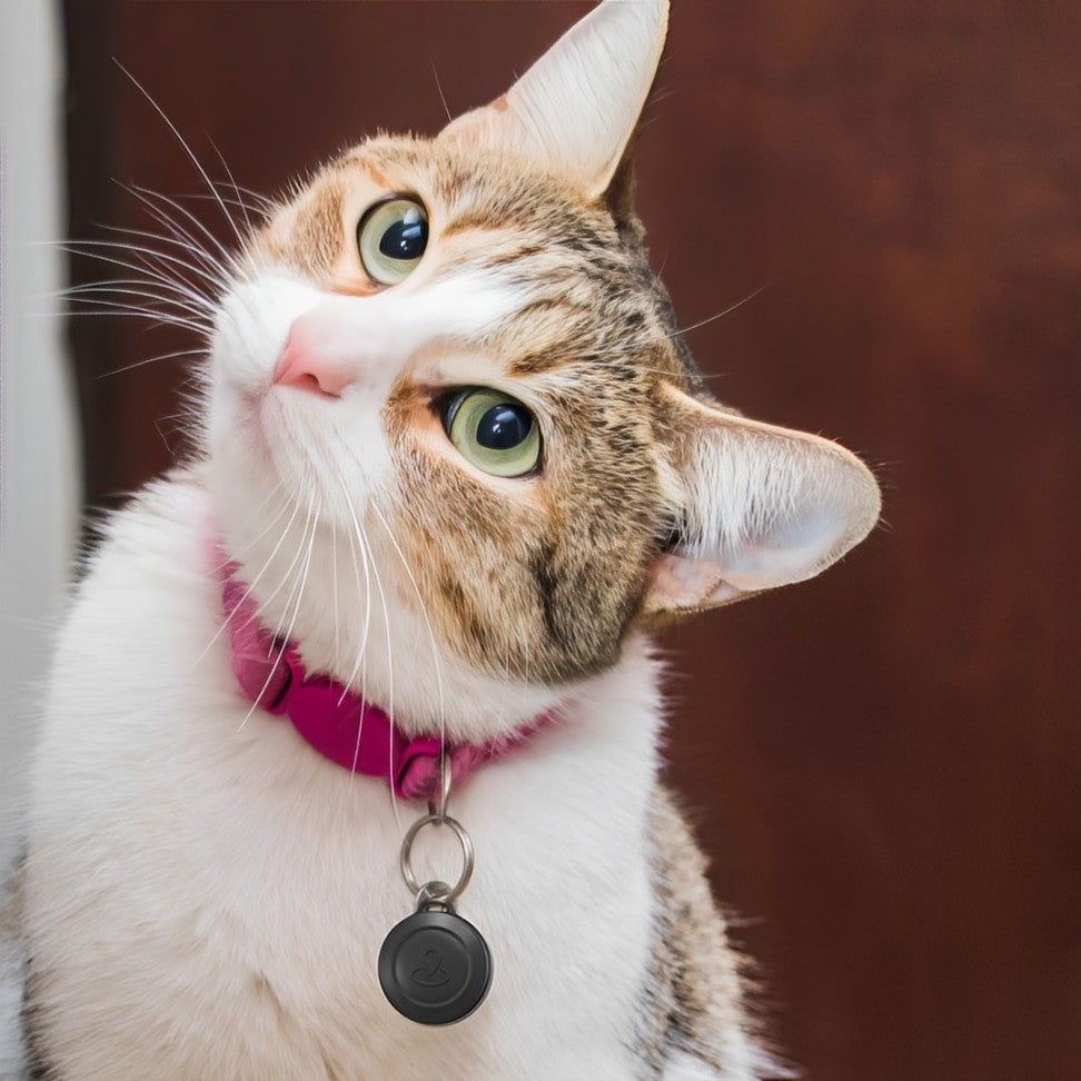 Tracky - Essential Cat Tracker - Tracker for Pets