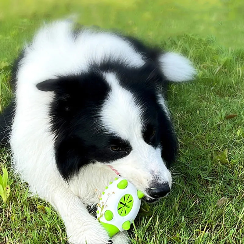 Dog Toy with Treat Dispenser – Interactive Chewing Toy for Dogs