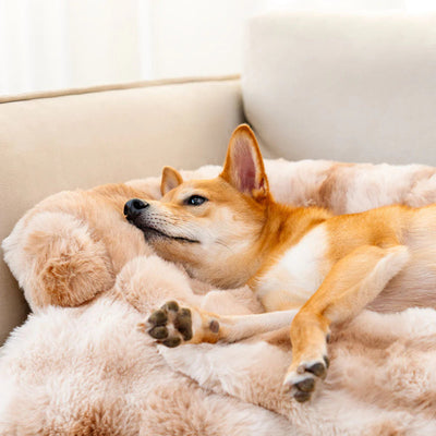 Cozy Sofa Bed for Dogs