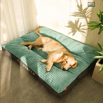 取り外し可能なカバー付き整形外科用犬用ベッド
