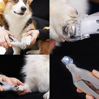 LED Nail Clipper for Visible Blood Vessels