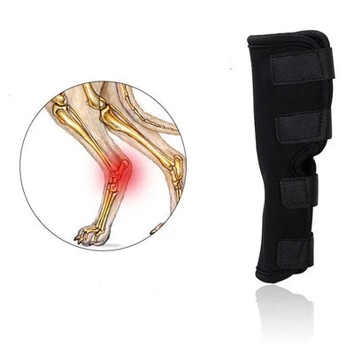 Knee Brace for Dogs