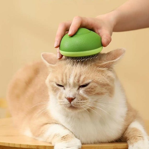 フルカド – アボカド型の猫用ヘアブラシ