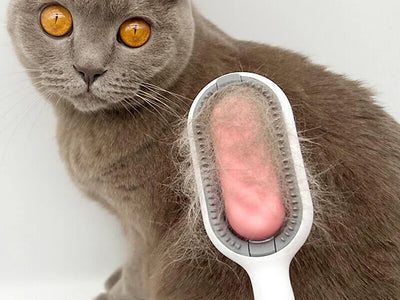Sticky Pet Brush