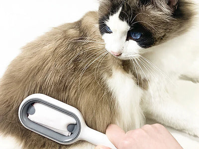 Sticky Pet Brush