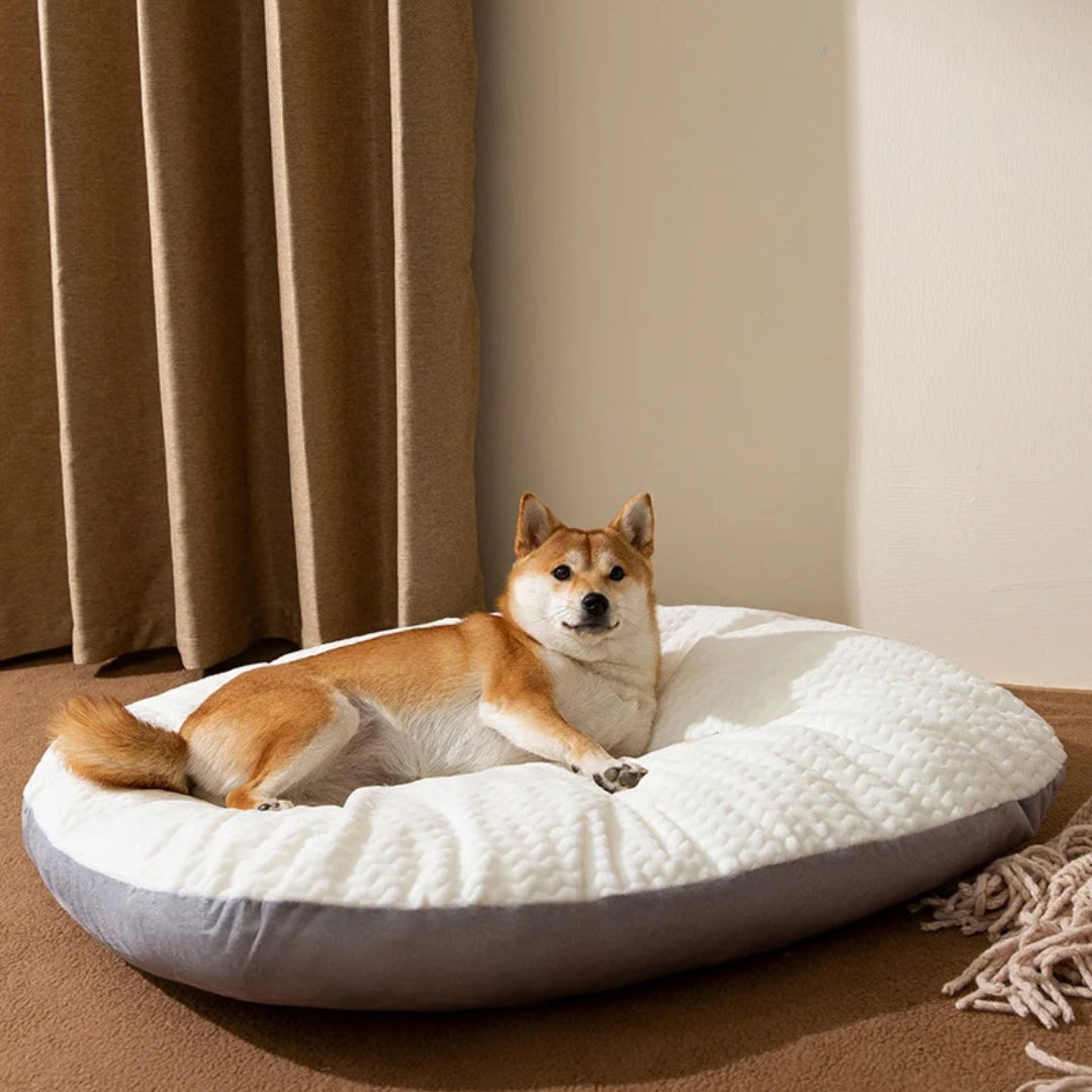 PawHalla - Firm and Comfortable Pet Bed