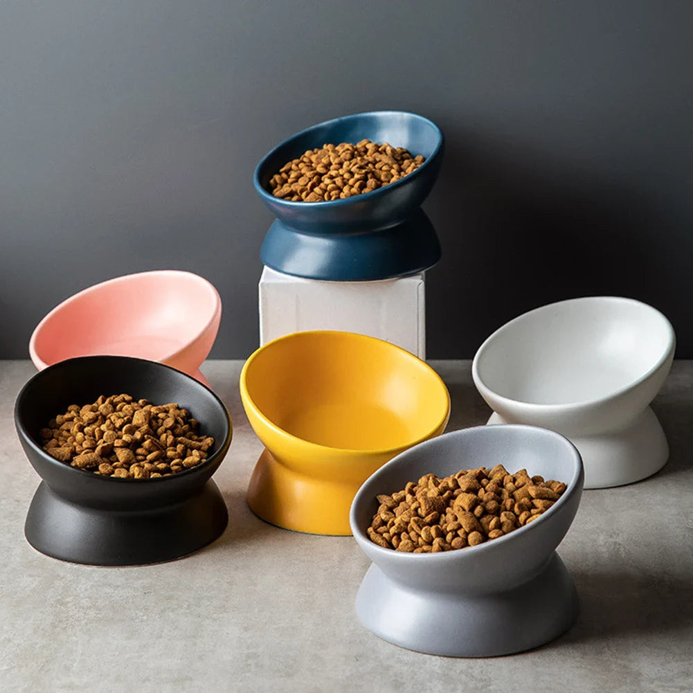 Elevated Ceramic Pet Bowl