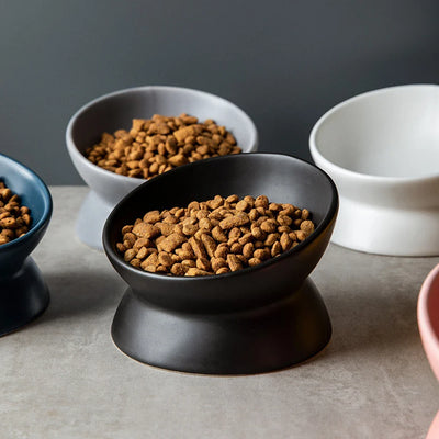 Elevated Ceramic Pet Bowl