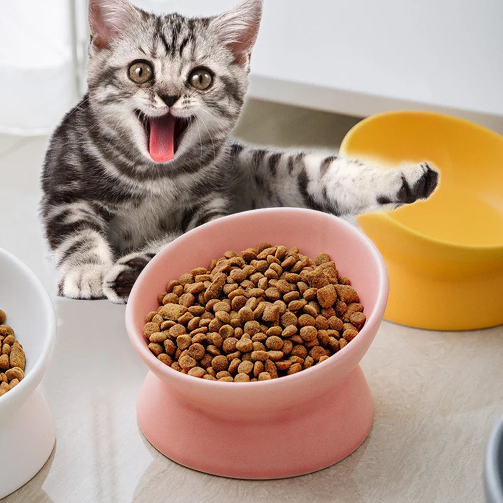 Elevated Ceramic Pet Bowl