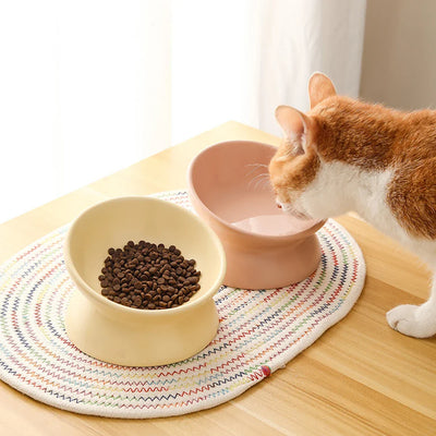 Elevated Ceramic Pet Bowl