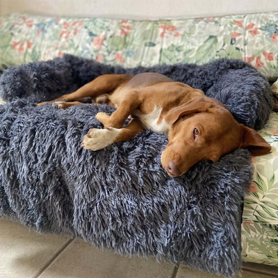落ち着くソフトソファプロテクター犬用ベッド