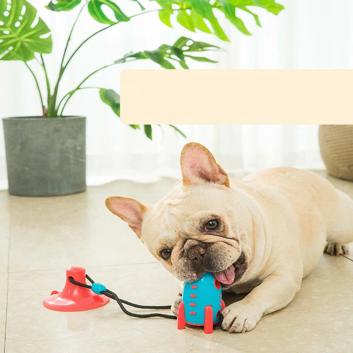 Rocket-Shaped Dog Toy – Interactive Chew Toy for Dogs