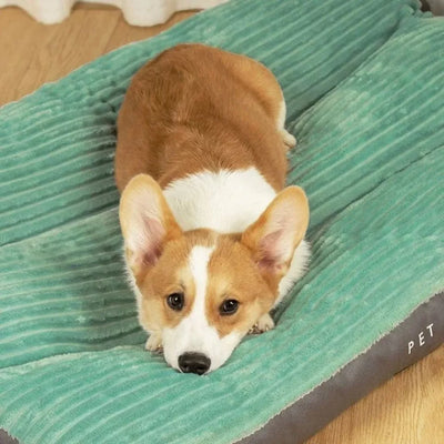 取り外し可能なカバー付き整形外科用犬用ベッド