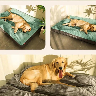 取り外し可能なカバー付き整形外科用犬用ベッド