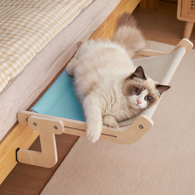 猫のための実用的なハンモック