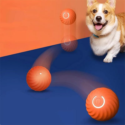 Interactive Spring Ball for Dogs