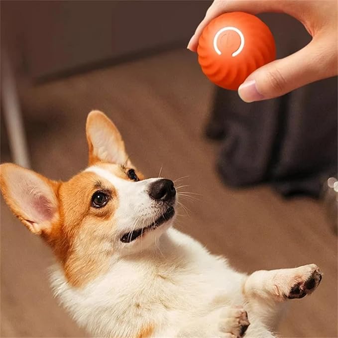 Interactive Spring Ball for Dogs